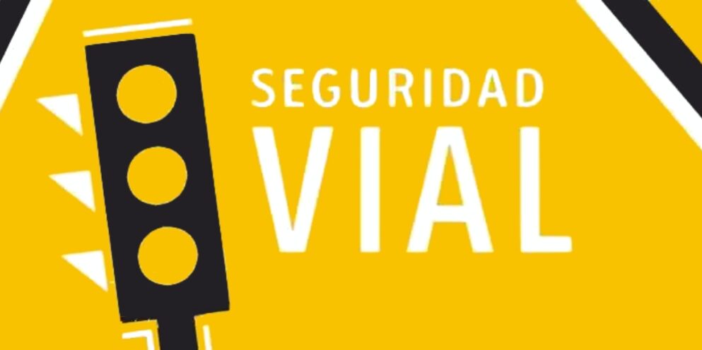 SEGURIDAD VIAL – PAGINA WEB